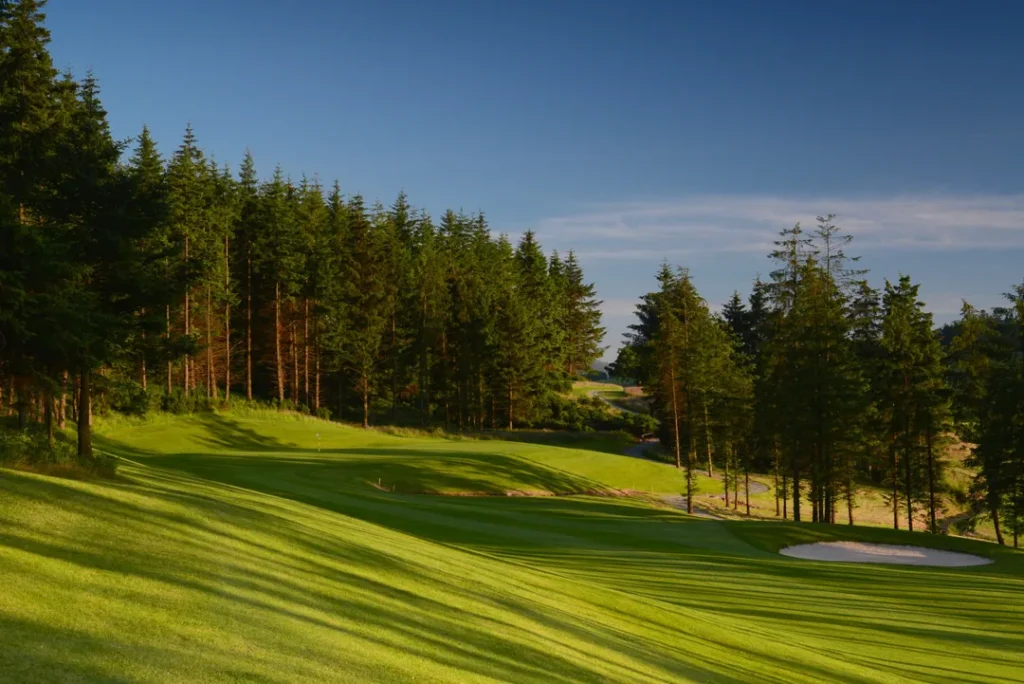 Macreddin 2 approach tree shadows 8383 2 14 2 1080x721