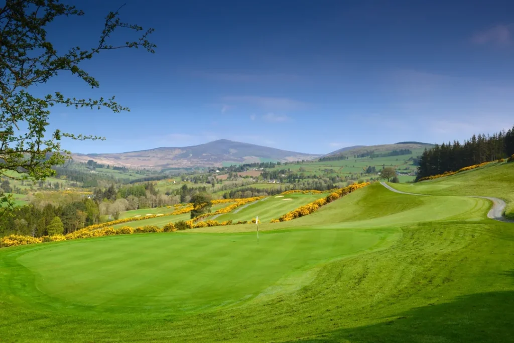 Macreddin 3 green to views 4997 2 1080x721