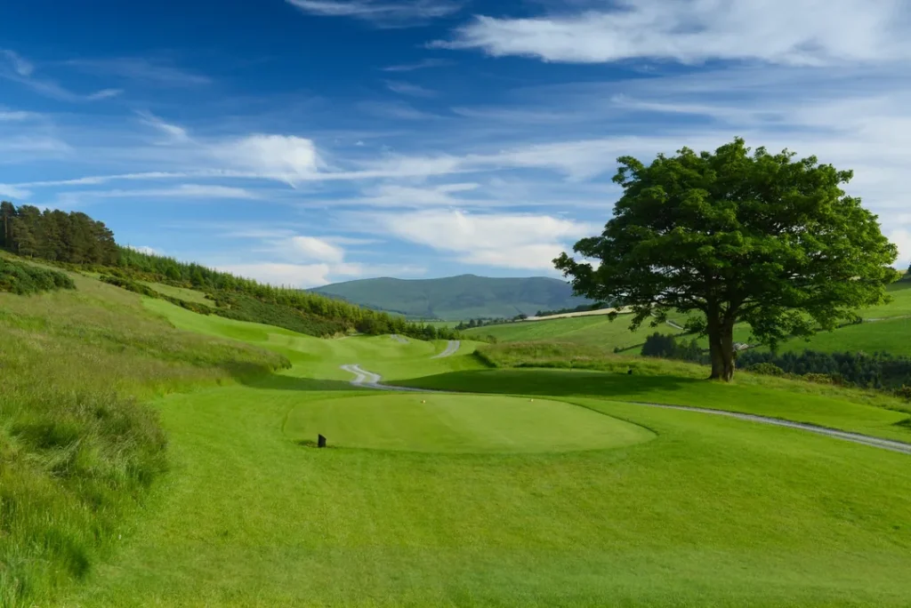 Macreddin 3 7960 6 2 1080x721