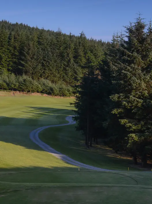 image of trees on golf course
