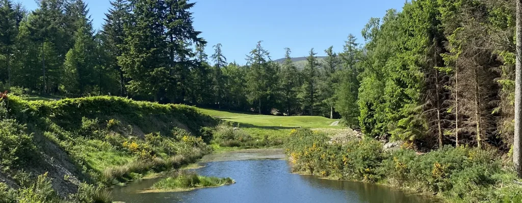 12th over pond