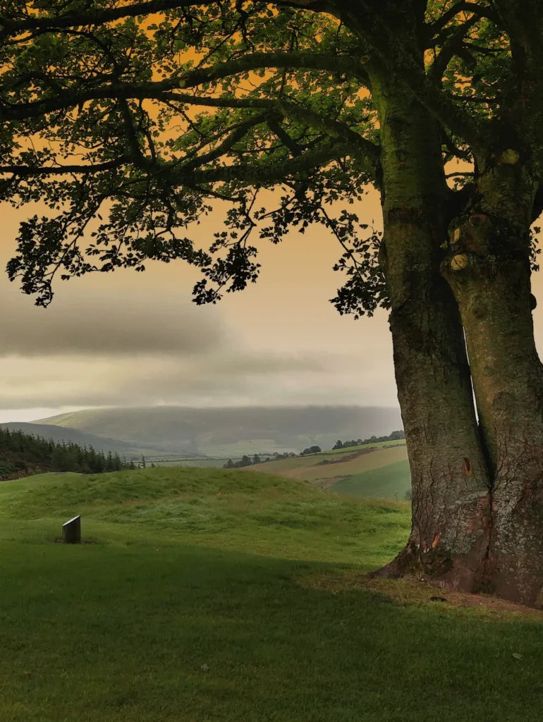 membership privileges macreddin golf club wicklow